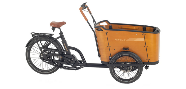 Aitour Electric Cargo Bike - Family C 250W