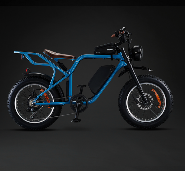 Rocket X Sport Utility Electric Bike 750W