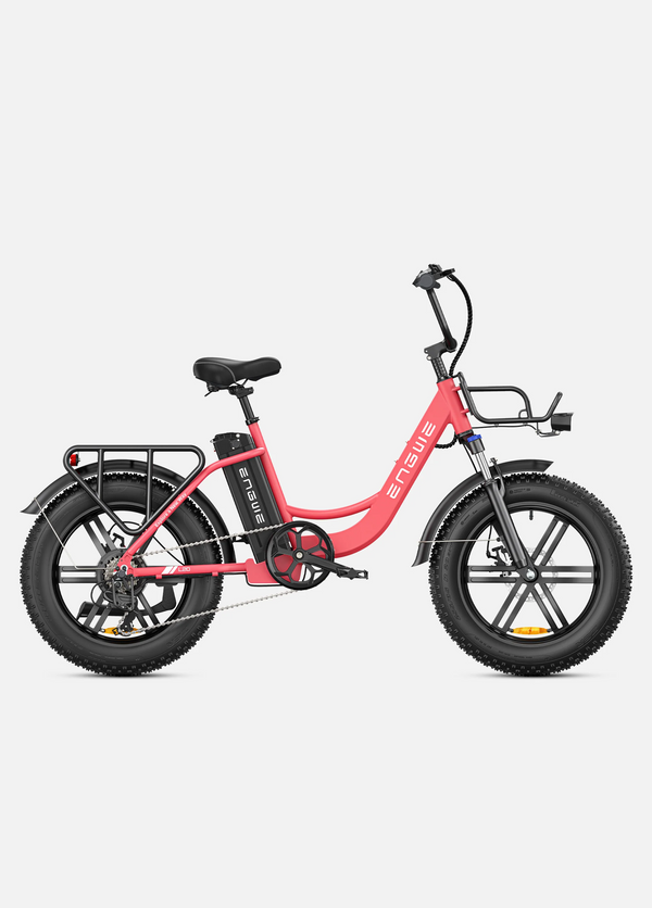 Engwe L20 Step-Thru Electric Bike 250W