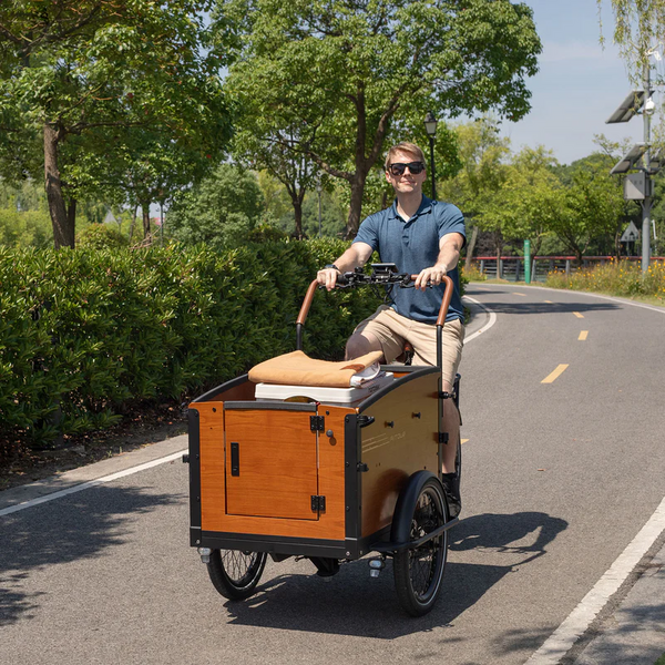 Aitour Electric Cargo Bike - Family S 250W