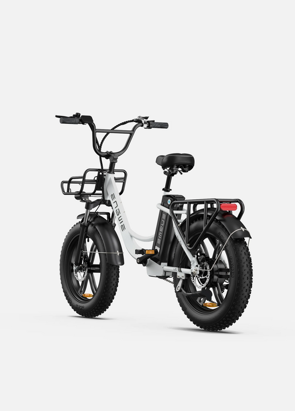 Engwe L20 Step-Thru Electric Bike 250W