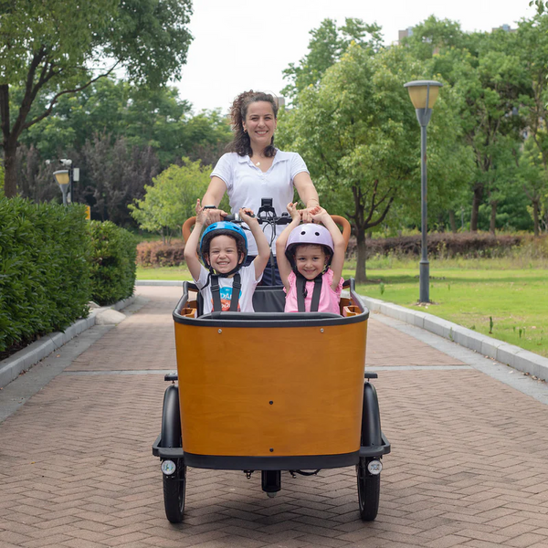 Aitour Electric Cargo Bike - Family C 250W