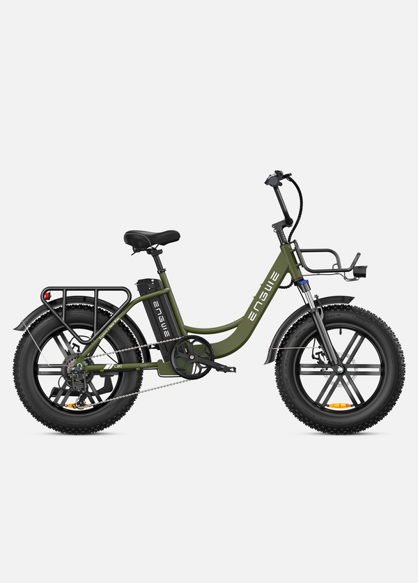 Engwe L20 Step-Thru Electric Bike 250W