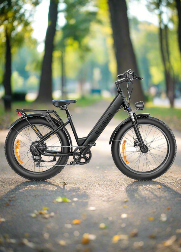 Engwe E26 Electric Bike 250W