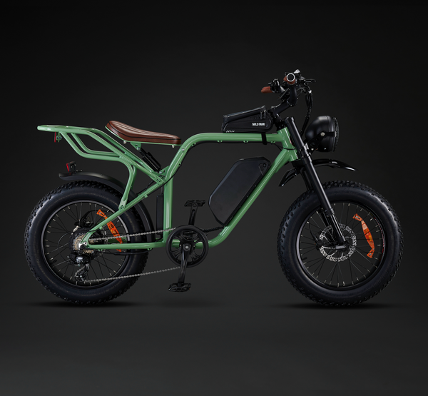 Rocket X Sport Utility Electric Bike 750W