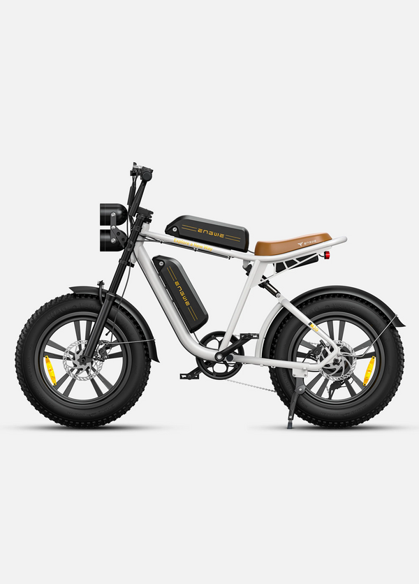 Engwe M20 Dual Suspension Long Range Electric Bike 750W