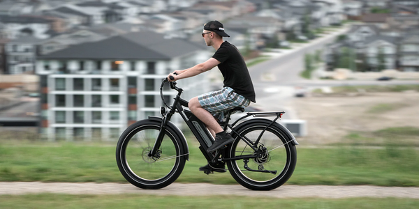 Himiway D3 (Cruiser) Long Range Fat Tyre Electric Bike 250W