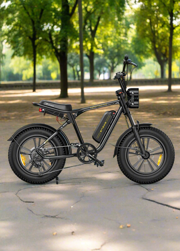 Engwe M20 Dual Suspension Long Range Electric Bike 750W