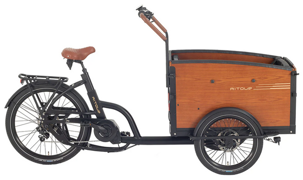 Aitour Electric Cargo Bike - Family S 250W