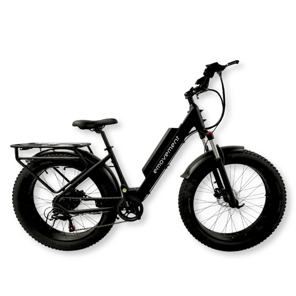 E Movement Aries eMTB Electric Mountain Bike 250W 500W Bike Yard Online