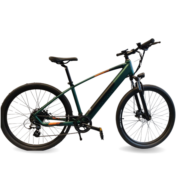 Yoikoto Andes 17" Electric Bike 36V