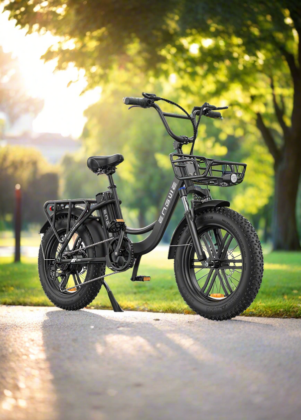 Engwe L20 Step-Thru Electric Bike 250W