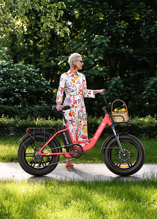 Engwe L20 Step-Thru Electric Bike 250W