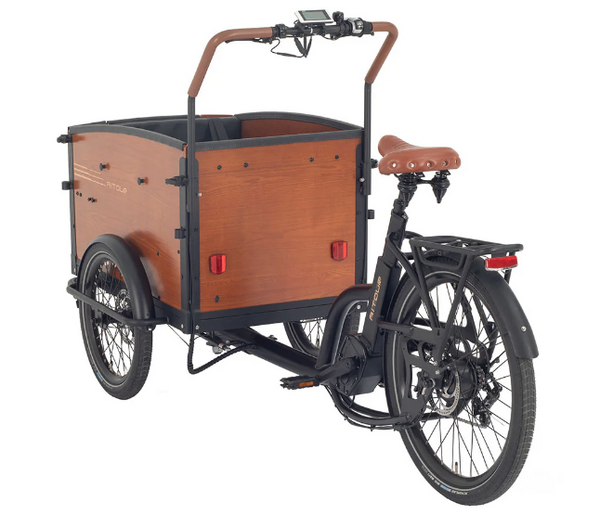 Aitour Electric Cargo Bike - Family S 250W