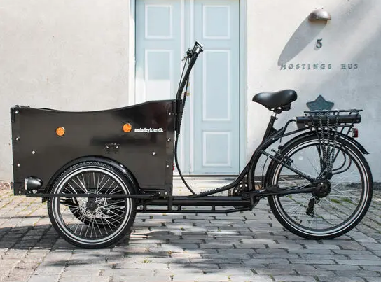 Amcargobikes Curve Dog Friendly Cargo Electric Bike 250W