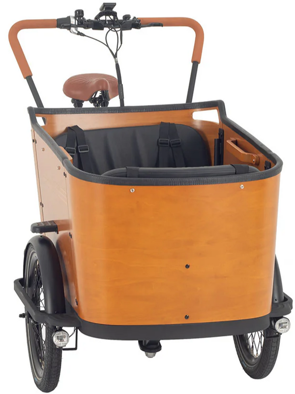 Aitour Electric Cargo Bike - Family C 250W