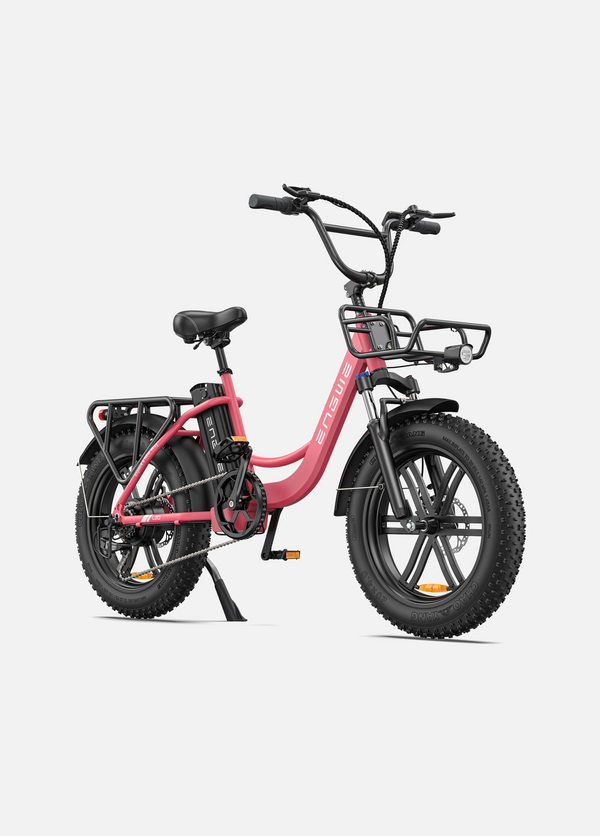 Engwe L20 Step-Thru Electric Bike 250W