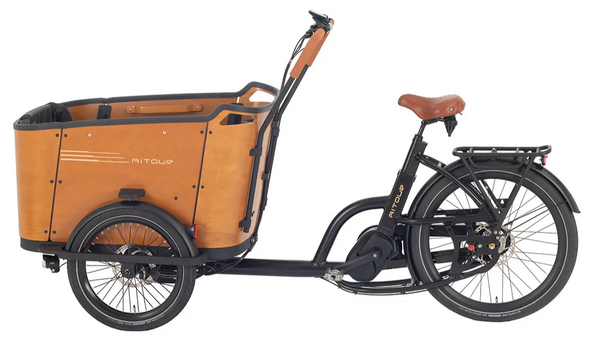 Aitour Electric Cargo Bike - Family C 250W