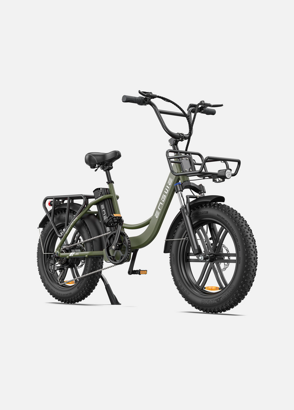 Engwe L20 Step-Thru Electric Bike 250W