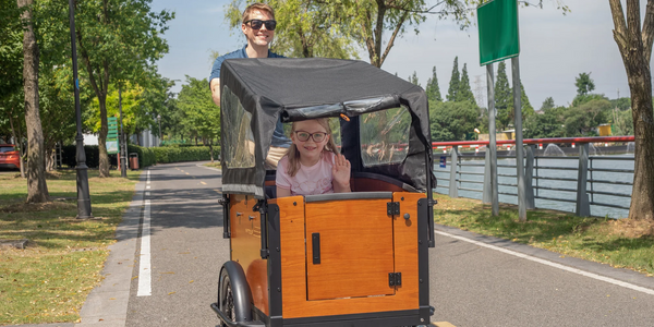 Aitour Electric Cargo Bike - Family S 250W