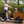 Aitour Electric Cargo Bike - Family C 250W