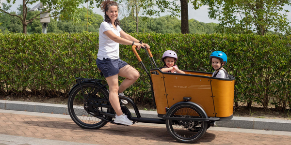 Aitour Electric Cargo Bike - Family C 250W