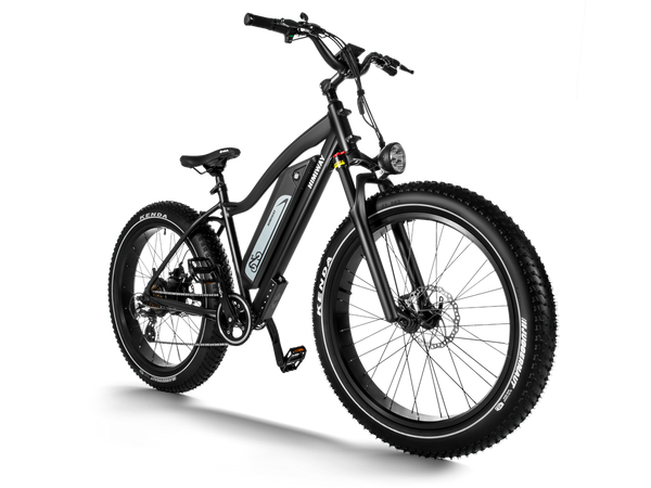 Himiway D3 (Cruiser) Long Range Fat Tyre Electric Bike 250W