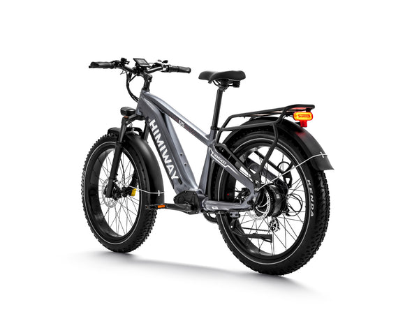 Himiway Zebra (D5) Premium All-Terrain Electric Fat Bike 250W