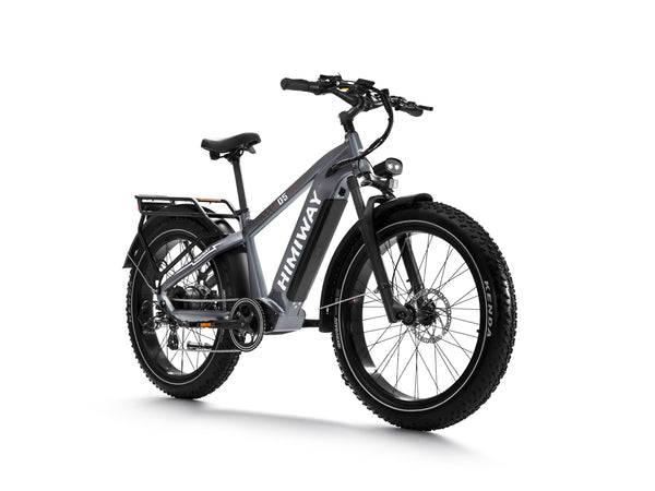 Himiway Zebra (D5) Premium All-Terrain Electric Fat Bike 250W