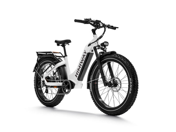 Himiway Zebra (D5) Premium All-Terrain Electric Fat Bike 250W