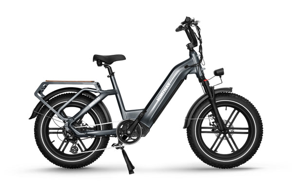 Himiway Big Dog Electric Cargo Fat Tyre Bike 250W