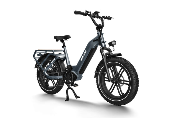 Himiway Big Dog Electric Cargo Fat Tyre Bike 250W