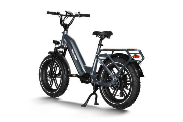 Himiway Big Dog Electric Cargo Fat Tyre Bike 250W