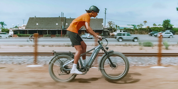 Himiway Zebra (D5) Premium All-Terrain Electric Fat Bike 250W