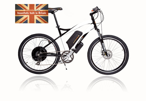 Cyclotricity Stealth 29er Electric Mountain Bike 1000W