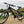 Dallingridge Coniston Hardtail Electric Mountain Bike 250W - Black/Red