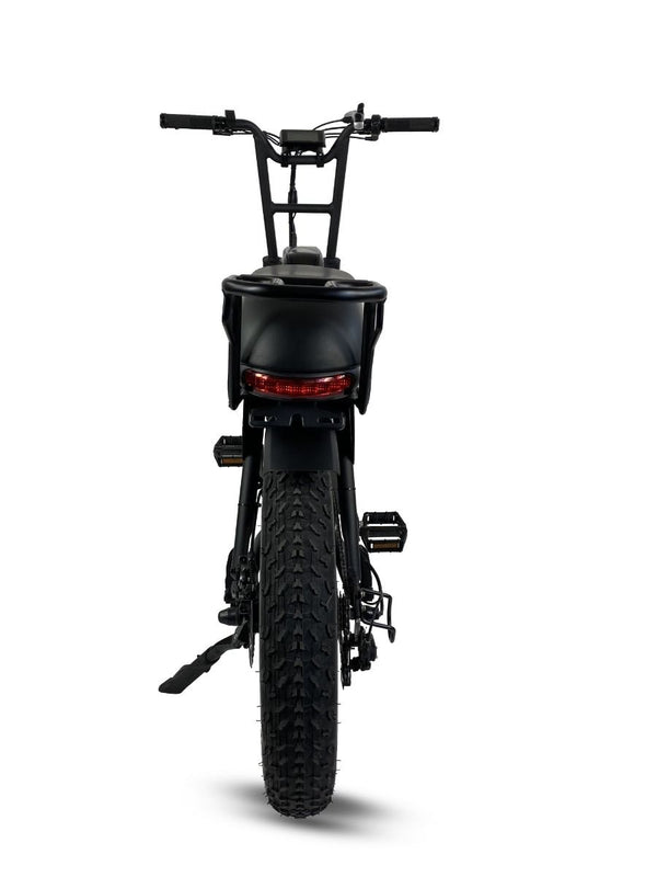 Cruz73 Retro Fat Tyre Electric Bike 250W