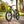 Engwe X24 Fat Tyre Foldable Electric Bike 1000W